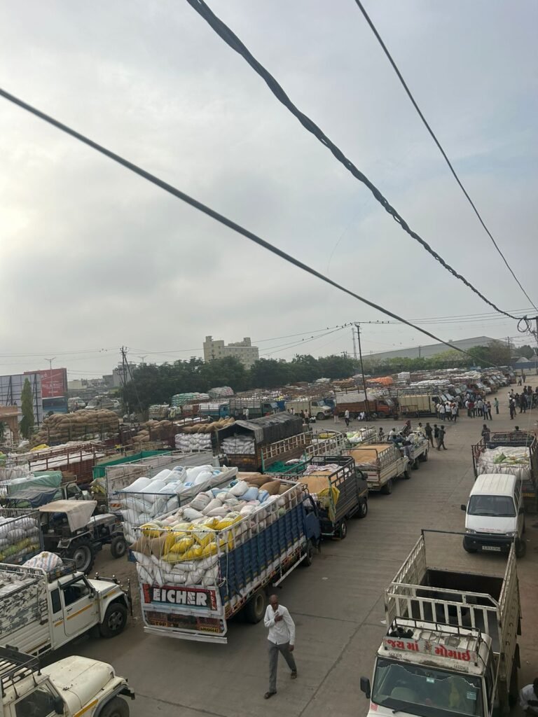 rajkot market yard bhav today