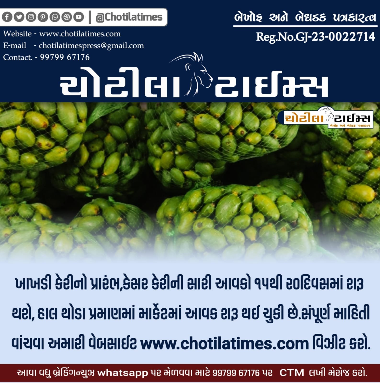 kesar kera bajar bhav chotila times, kesar keri junagadh bajar bhav